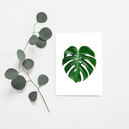 Monstera Leaf - Misiu Papier